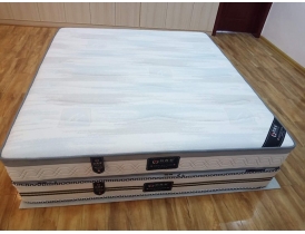 Y8306怡鑫泰（韵美达）